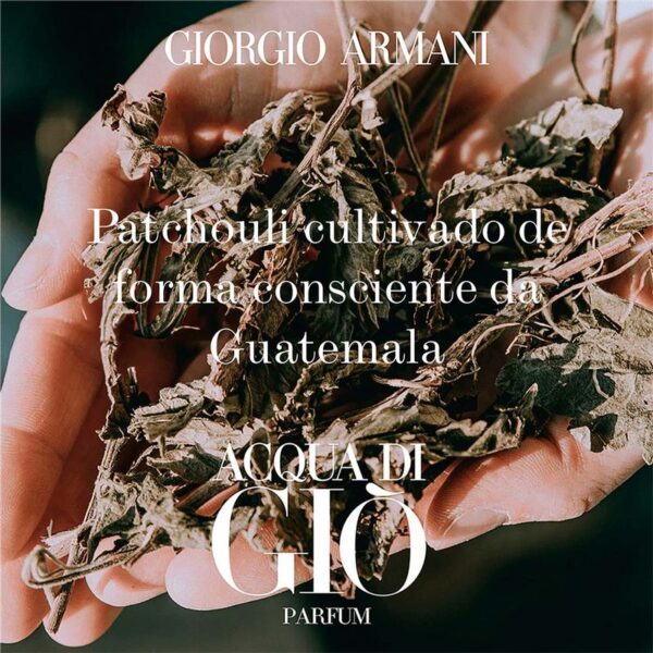 Acqua Di Giò Giorgio Armani Perfume Masculino Eau de Toilette - 100ml - Imagem 8